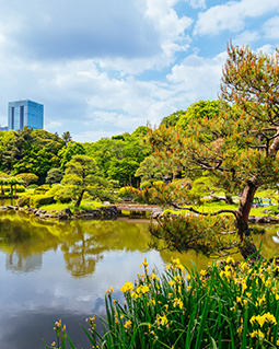 Parque Nacional da Kissama, Angola